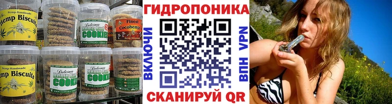 Купить закладки  Лениногорск  Canna-Cookies конопля 