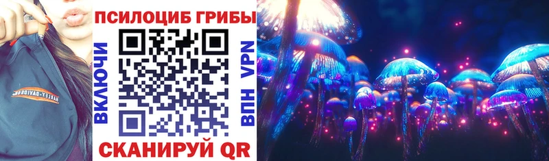 Галлюциногенные грибы Psilocybine cubensis  Купить где  Лениногорск 